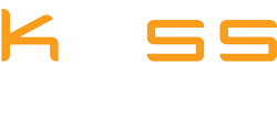 light logo